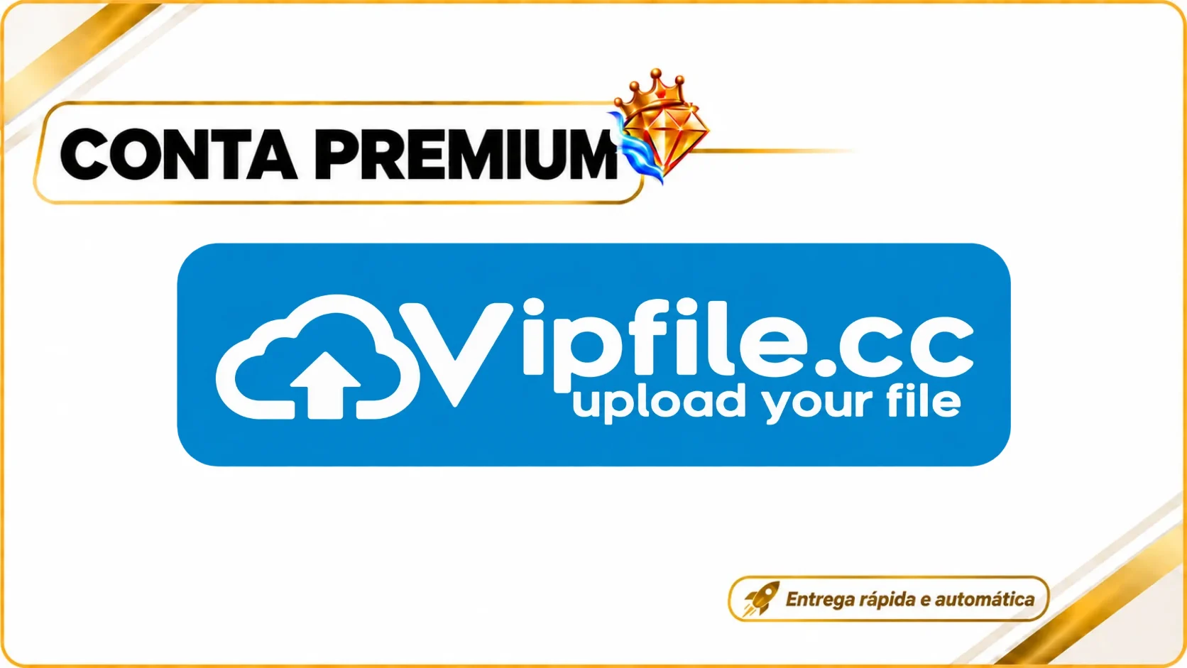 Conta Premium Vipfile 30 Dias Direto Do Site